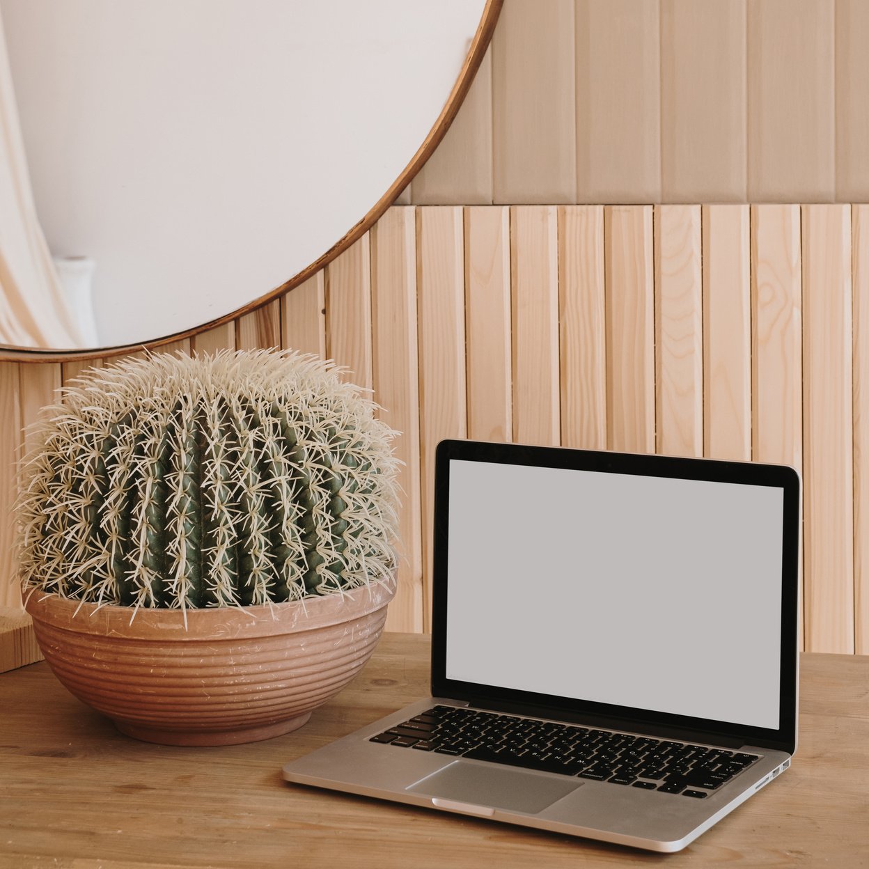 Laptop and Cactus on the Table