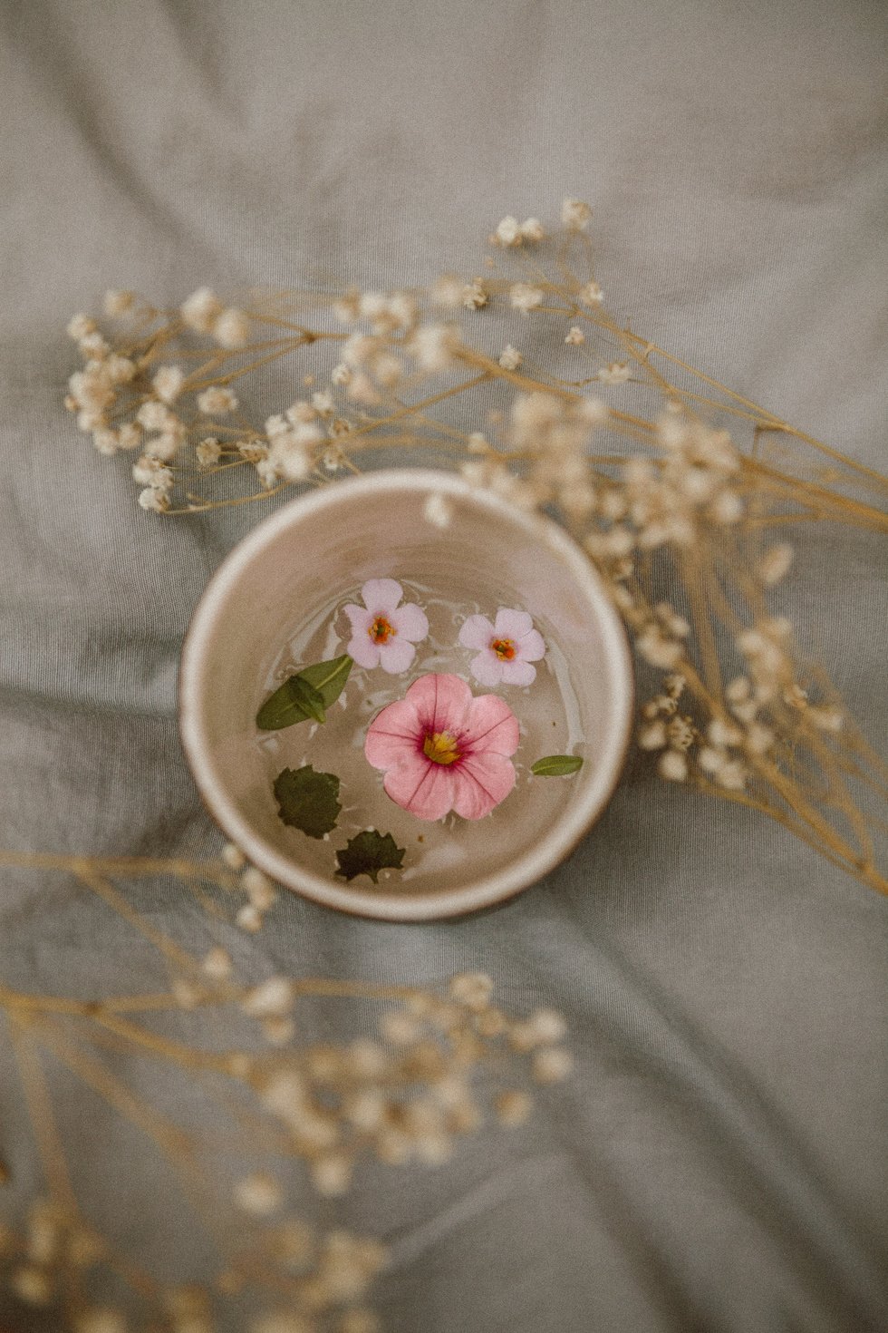 Pink Flowers in a cup with Water